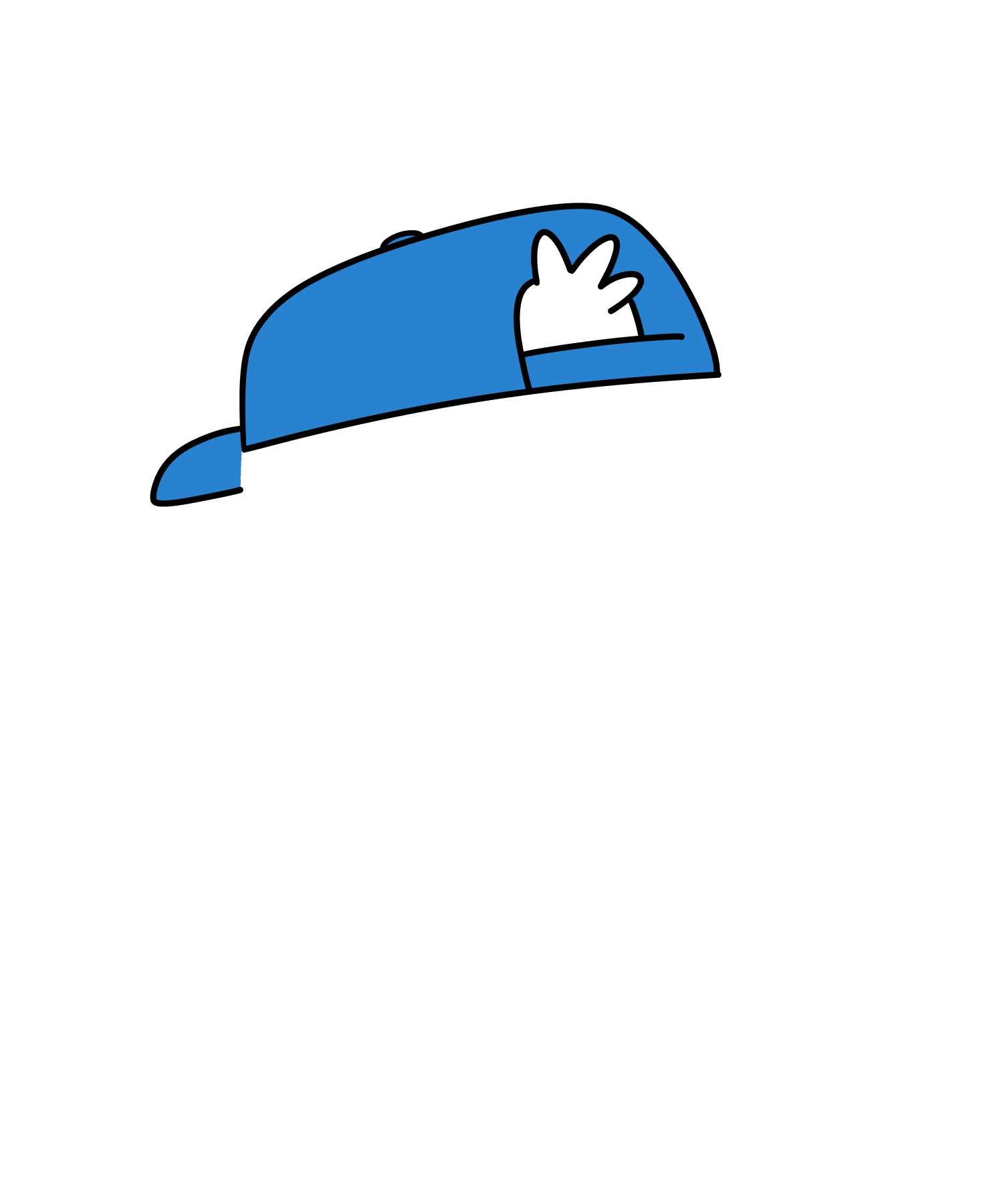 Blue Hat Backwards